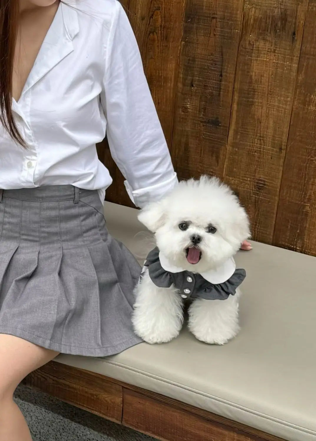 Cute Pleated Skirt Dress - Korean Style Pet Fashion for Small to Medium Dogs & Cats