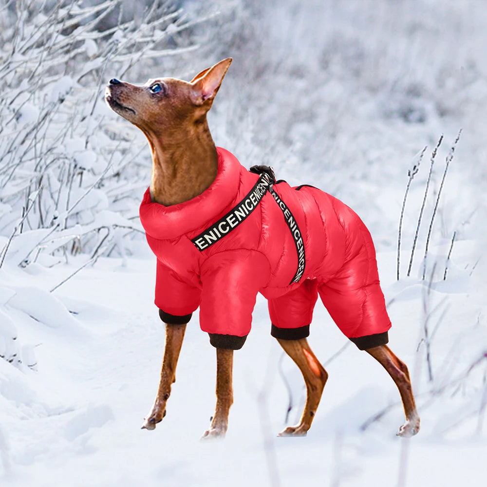 Waterproof Dog Jacket with Built-In Harness - Winter Coat for Small to Medium Dogs