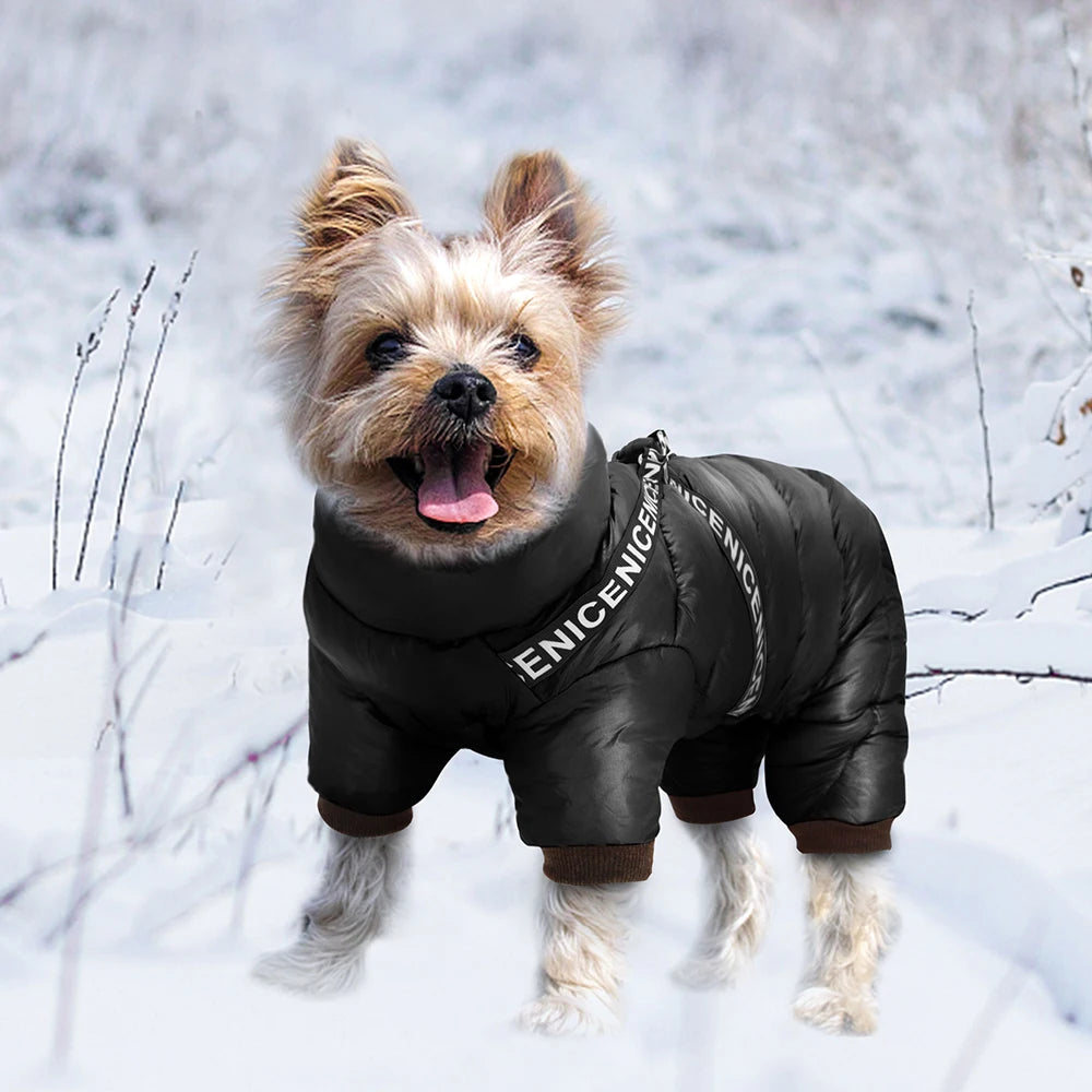 Waterproof Dog Jacket with Built-In Harness - Winter Coat for Small to Medium Dogs