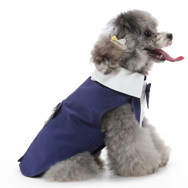Luxurious Male Pet Costume for Small Dogs High Quality Puppy Dog Tailcoat Suit Dress Chihuahua Maltese mascotas Wedding Clothing