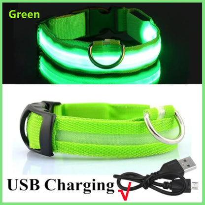LED Safety Collar - USB Rechargeable Glowing Dog Collar for Night Visibility