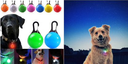 LED Safety Collar - USB Rechargeable Glowing Dog Collar for Night Visibility