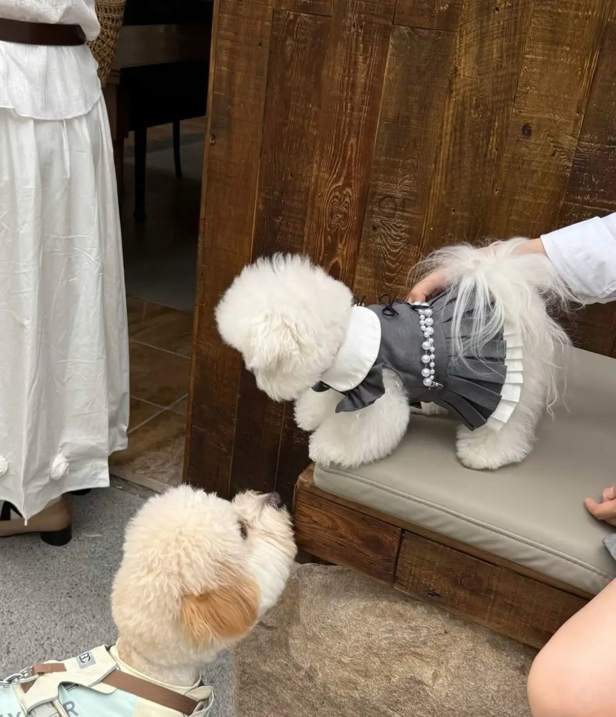 Cute Pleated Skirt Dress - Korean Style Pet Fashion for Small to Medium Dogs & Cats