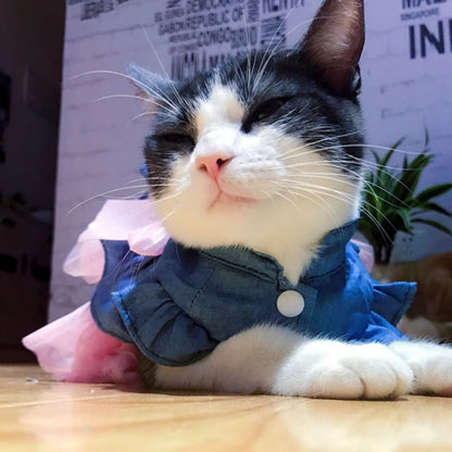 Luxury Denim Cat Dress - Summer Skirt for Sphynx & Hairless Cats