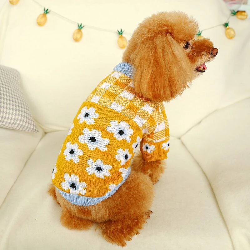 Floral Knit Sweater for Dogs & Cats