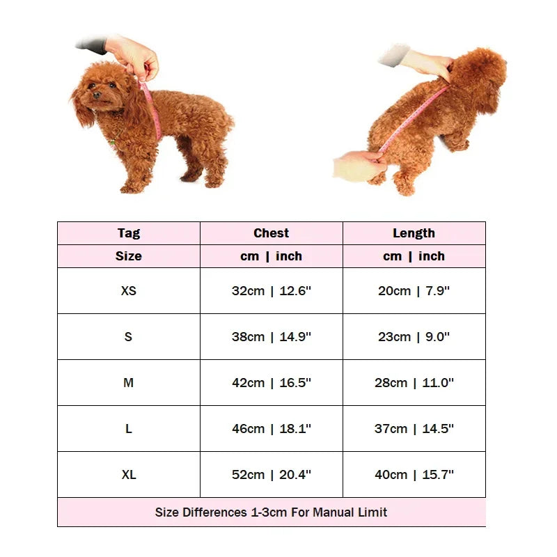 Luxury Leather-Look Waterproof Coat - Designer Princess Jacket for Small to Medium Dogs