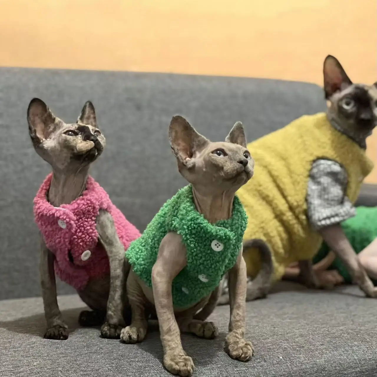 Luxury Lamb Wool Cat Vest - Premium Winter Jacket for Cats & Small Dogs