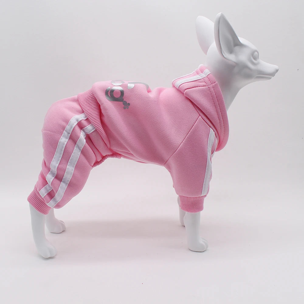 Athletic Sports Jumpsuit - Designer Activewear for Small Dogs