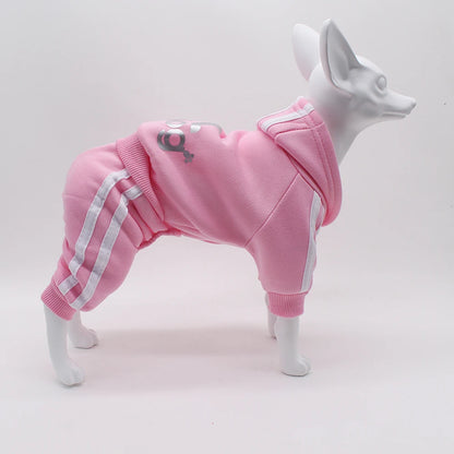 Athletic Sports Jumpsuit - Designer Activewear for Small Dogs