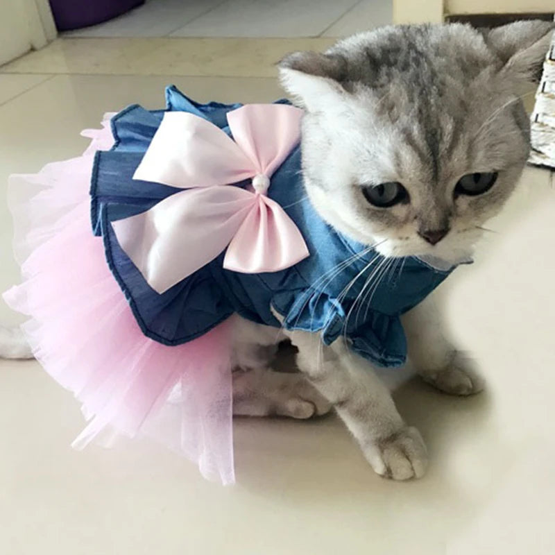 Luxury Denim Cat Dress - Summer Skirt for Sphynx & Hairless Cats