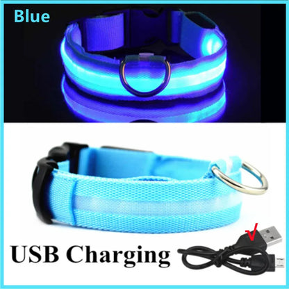 LED Safety Collar - USB Rechargeable Glowing Dog Collar for Night Visibility