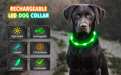LED Safety Collar - USB Rechargeable Glowing Dog Collar for Night Visibility