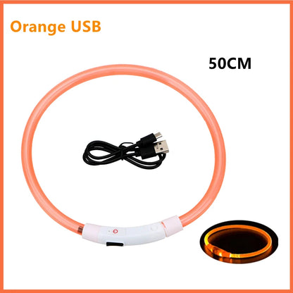 LED Safety Collar - USB Rechargeable Glowing Dog Collar for Night Visibility