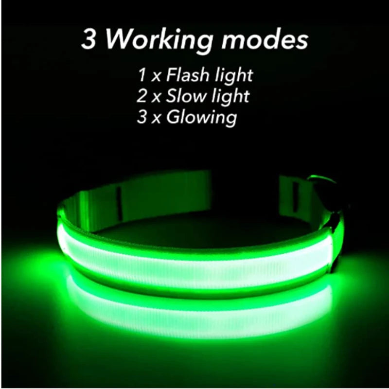 LED Safety Collar - USB Rechargeable Glowing Dog Collar for Night Visibility