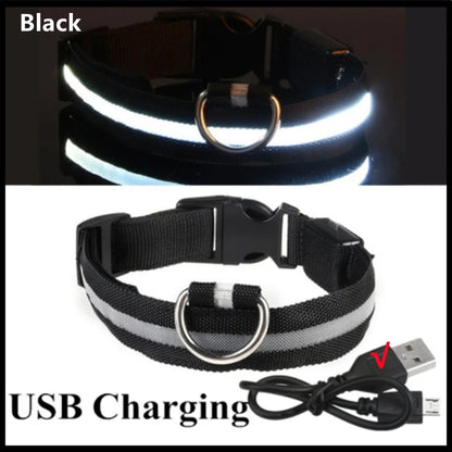 LED Safety Collar - USB Rechargeable Glowing Dog Collar for Night Visibility