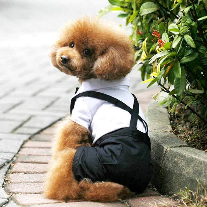 Luxury Classic Prince Tuxedo - Premium Formal Suit with Bow Tie for Dogs & Cats