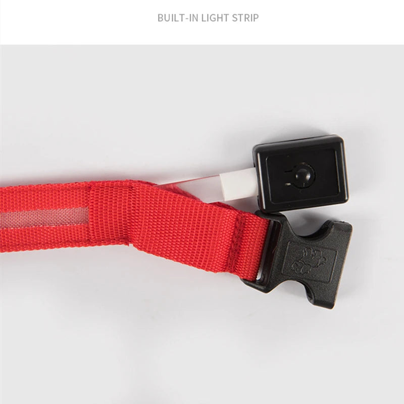 LED Safety Collar - USB Rechargeable Glowing Dog Collar for Night Visibility