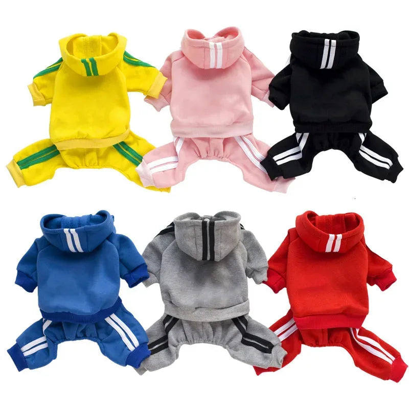 Athletic Sports Jumpsuit - Designer Activewear for Small Dogs