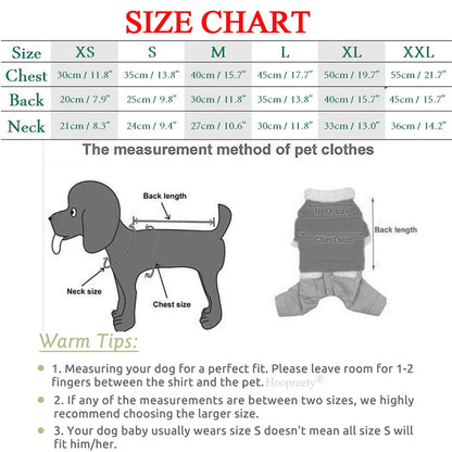 Athletic Sports Jumpsuit - Designer Activewear for Small Dogs