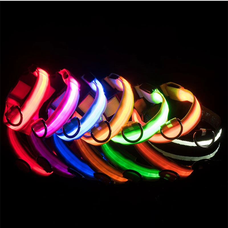 LED Safety Collar - USB Rechargeable Glowing Dog Collar for Night Visibility