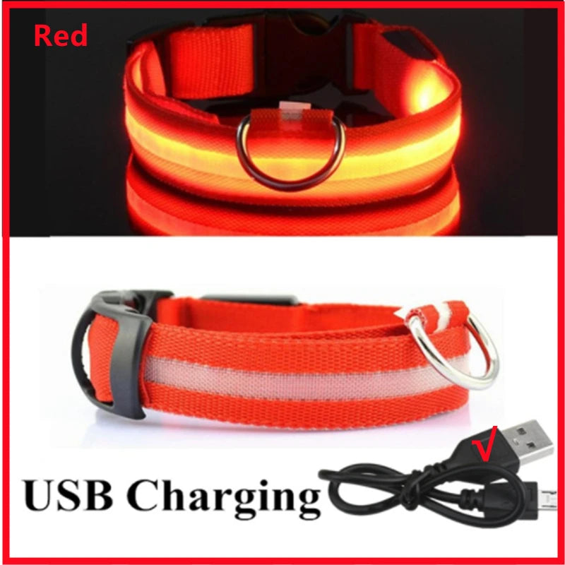 LED Safety Collar - USB Rechargeable Glowing Dog Collar for Night Visibility