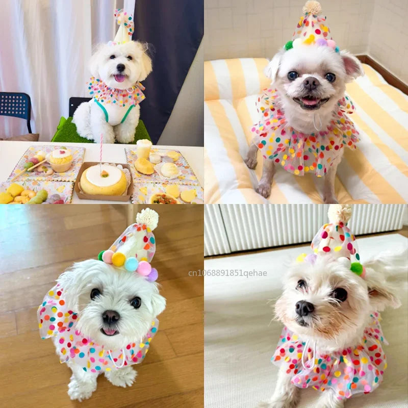 Luxury Birthday Collar & Bandana Set - Polka Dot Party Accessories for Dogs & Cats