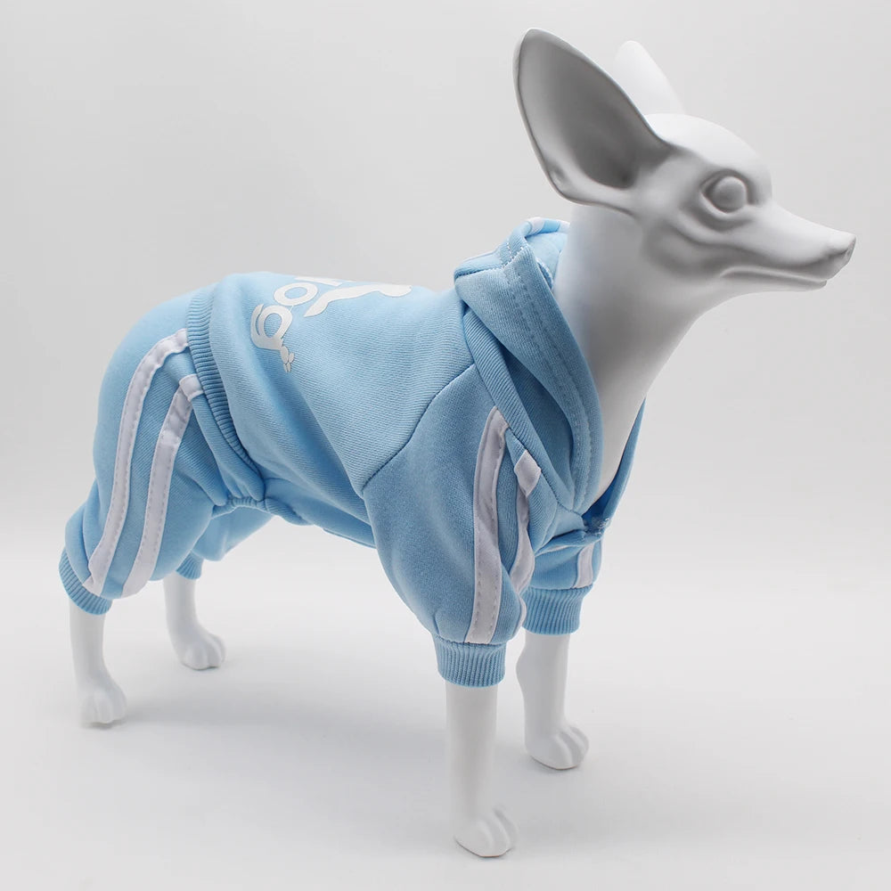 Athletic Sports Jumpsuit - Designer Activewear for Small Dogs