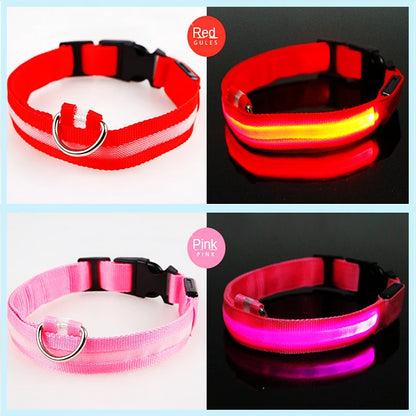 LED Safety Collar - USB Rechargeable Glowing Dog Collar for Night Visibility