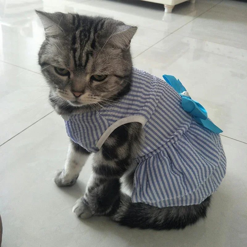 Luxury Princess Bow Dress - Striped & Plaid Summer Dress for Cats & Small Dogs