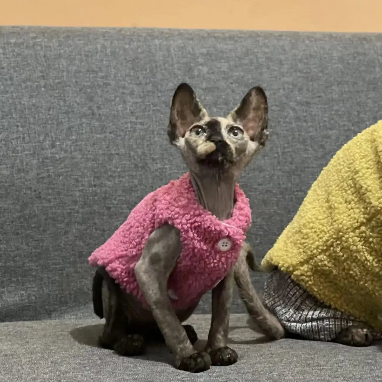 Luxury Lamb Wool Cat Vest - Premium Winter Jacket for Cats & Small Dogs