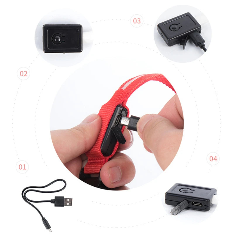LED Safety Collar - USB Rechargeable Glowing Dog Collar for Night Visibility