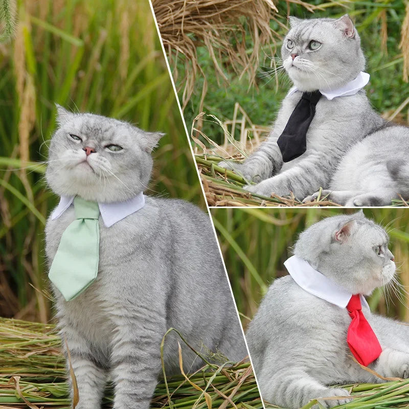 Luxury Formal Bow Tie Collar - Tuxedo Necktie for Dogs & Cats