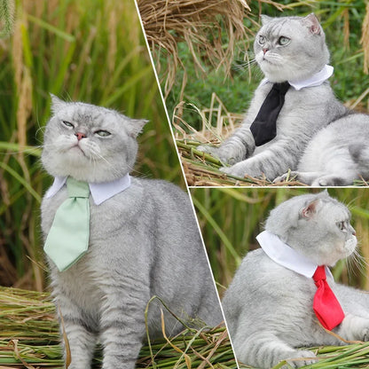 Luxury Formal Bow Tie Collar - Tuxedo Necktie for Dogs & Cats