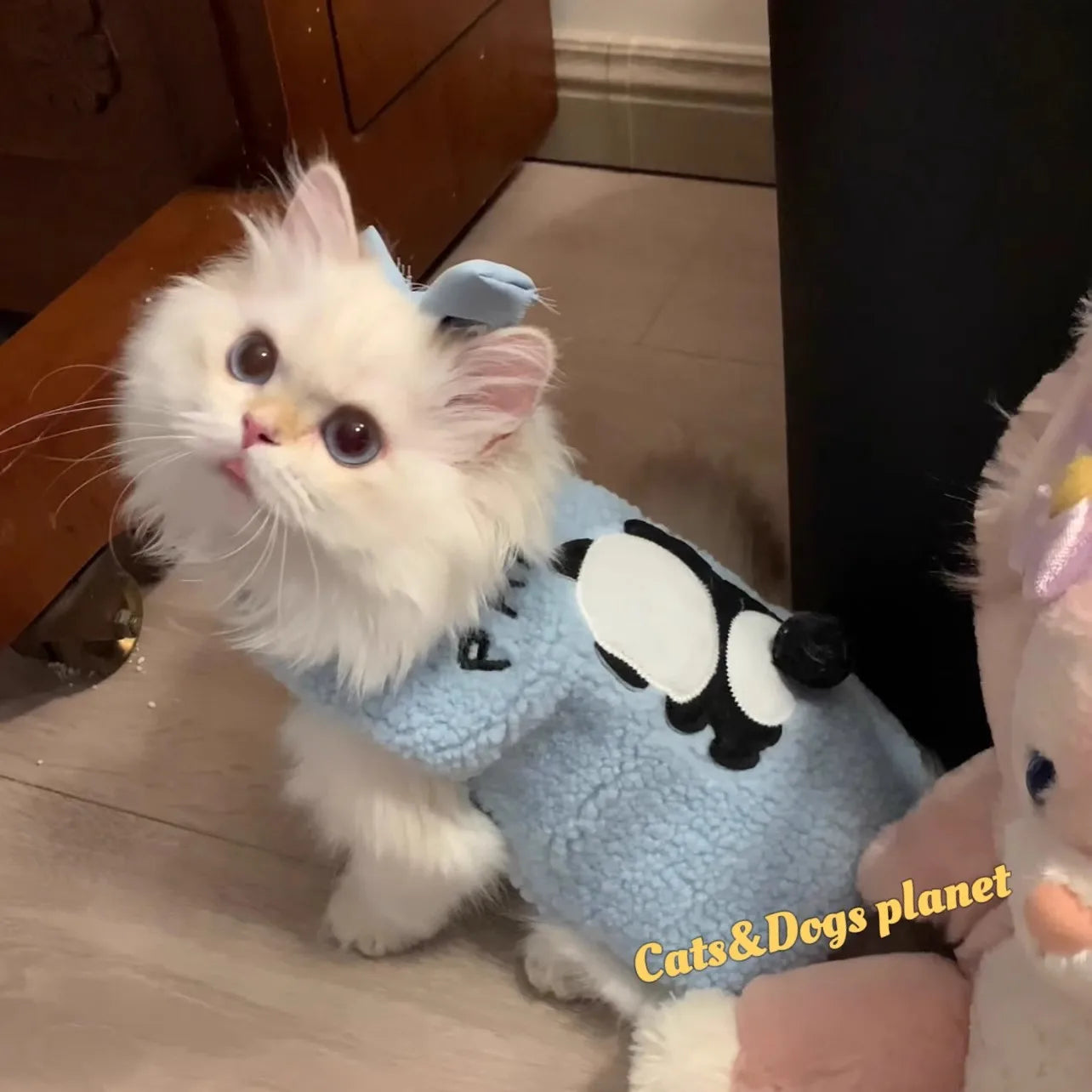Cozy Cat Sweater - Soft Winter Pullover for Cats & Small Dogs