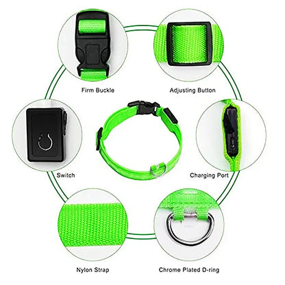 LED Safety Collar - USB Rechargeable Glowing Dog Collar for Night Visibility