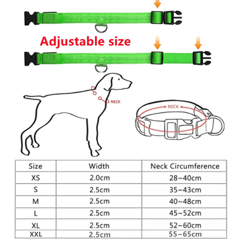 LED Safety Collar - USB Rechargeable Glowing Dog Collar for Night Visibility