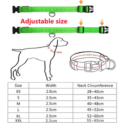 LED Safety Collar - USB Rechargeable Glowing Dog Collar for Night Visibility