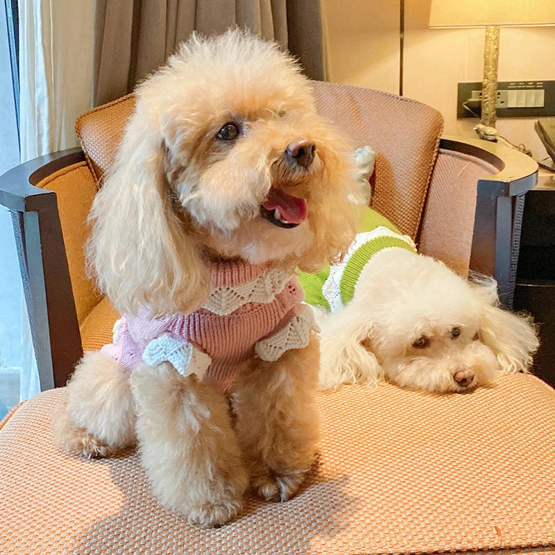 Floral Knit Sweater for Dogs & Cats