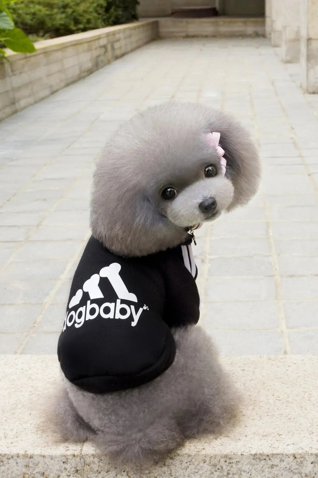 Luxury Fleece Sports Hoodie - Two-Legged Athletic Jacket for Small Dogs & Cats