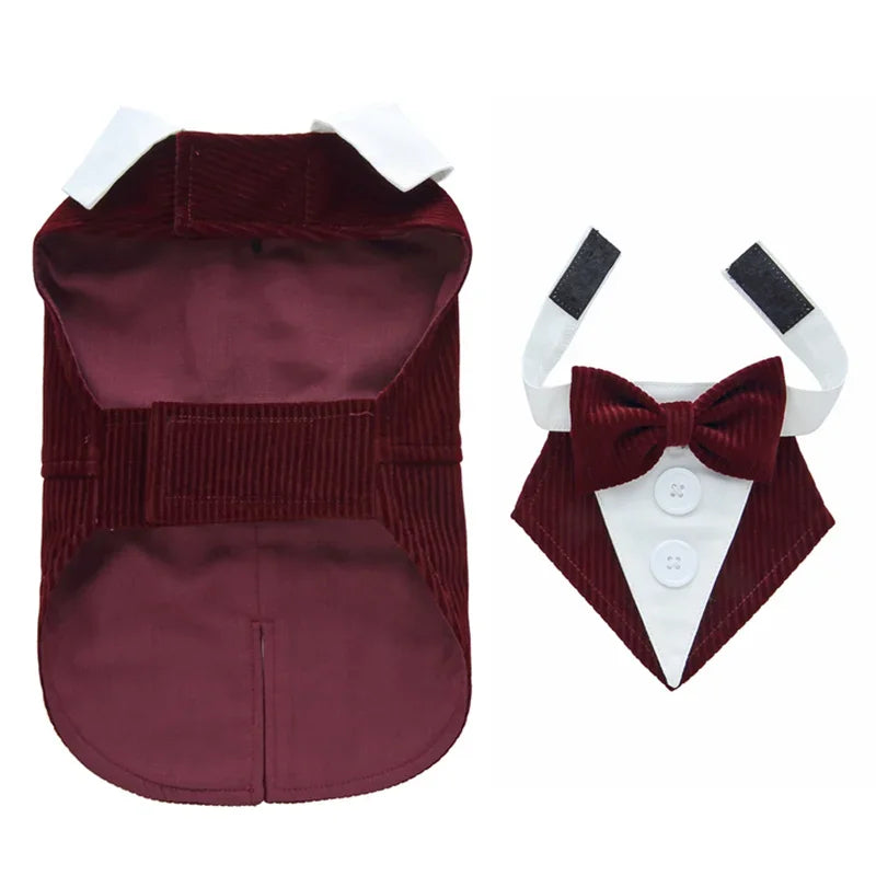 Luxurious Male Pet Costume for Small Dogs High Quality Puppy Dog Tailcoat Suit Dress Chihuahua Maltese mascotas Wedding Clothing