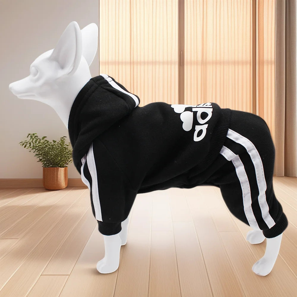 Athletic Sports Jumpsuit - Designer Activewear for Small Dogs