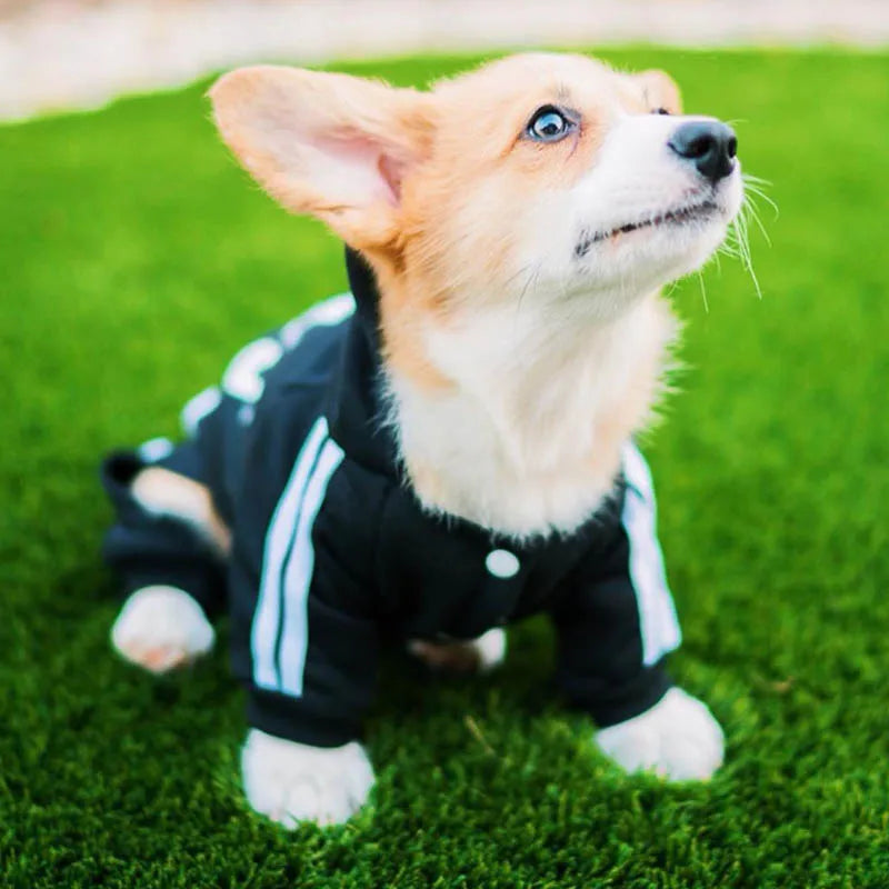 Sport Overalls Coat - 100% Cotton Warm Jumpsuit for Small Dogs