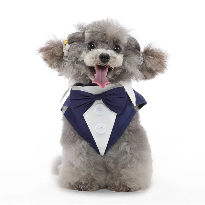 Luxurious Male Pet Costume for Small Dogs High Quality Puppy Dog Tailcoat Suit Dress Chihuahua Maltese mascotas Wedding Clothing