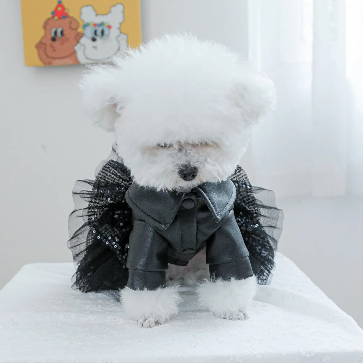 Luxury Leather-Look Waterproof Coat - Designer Princess Jacket for Small to Medium Dogs
