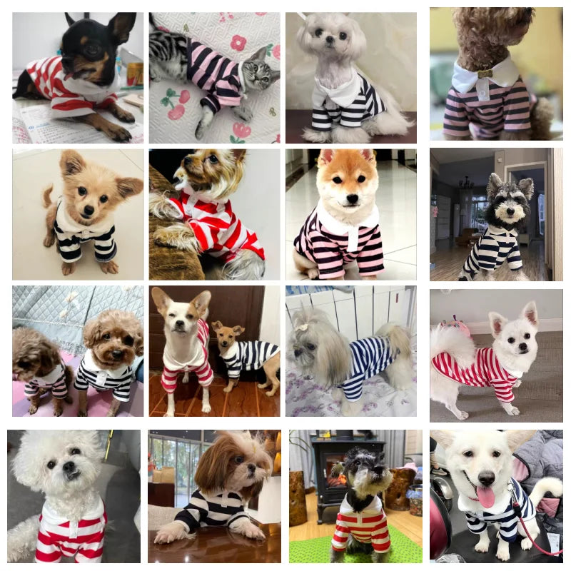 Luxury Striped Polo Shirt - Summer Cooling Vest for Small & Medium Dogs