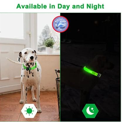 LED Safety Collar - USB Rechargeable Glowing Dog Collar for Night Visibility