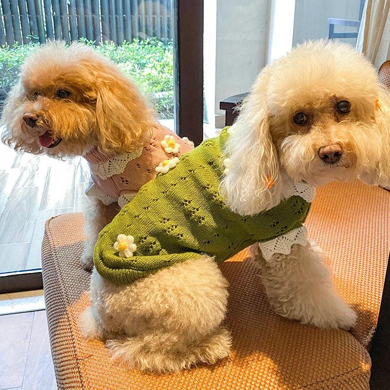 Floral Knit Sweater for Dogs & Cats