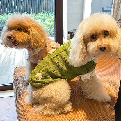 Floral Knit Sweater for Dogs & Cats