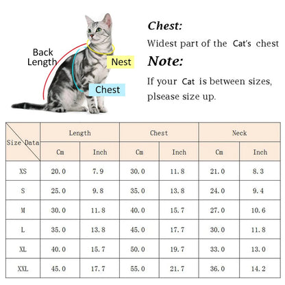 Luxury Denim Cat Dress - Summer Skirt for Sphynx & Hairless Cats