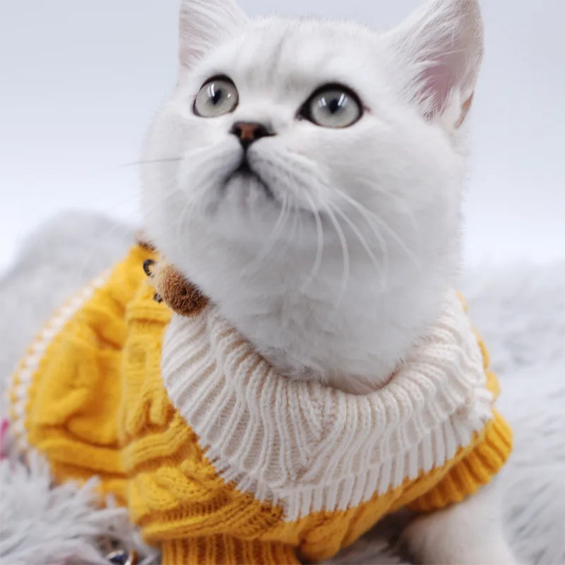 Floral Knit Sweater for Dogs & Cats